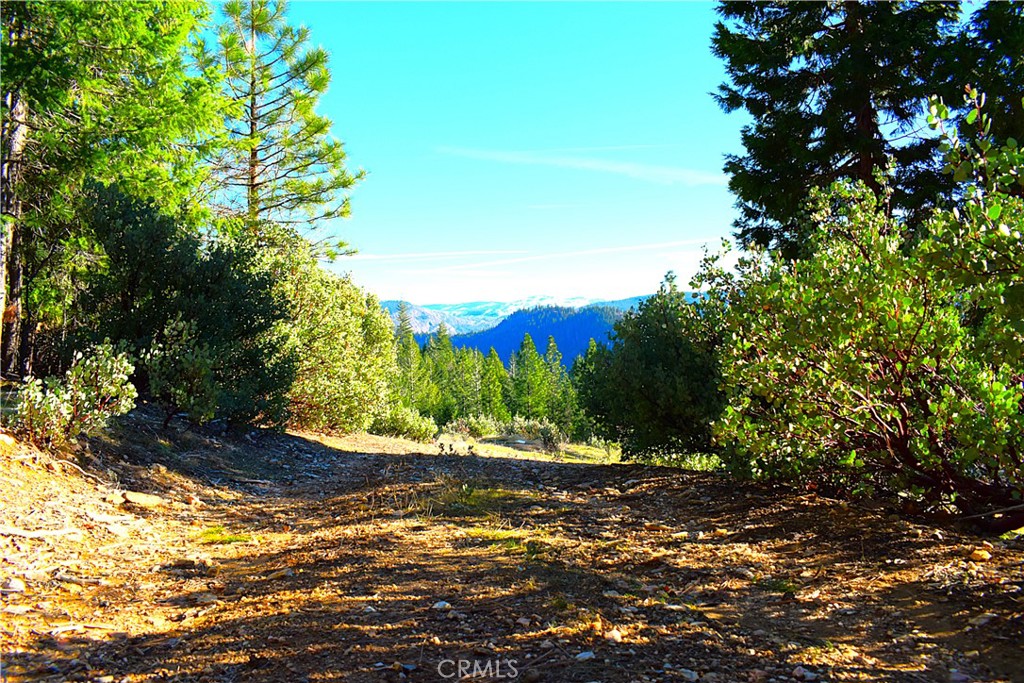 18286 Gaston Road Nevada City, CA 95959 - Photo 28 of 59