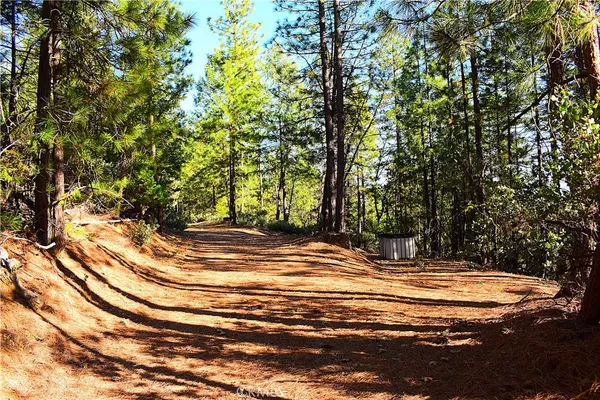 a view of a yard with swimming pool