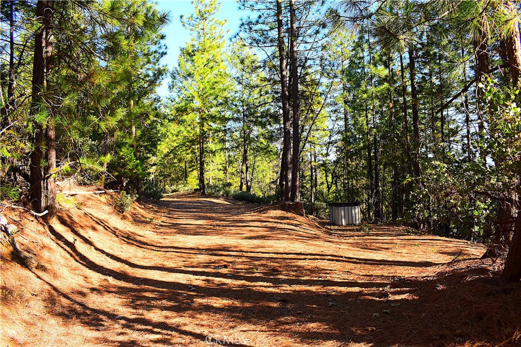 18286 Gaston Road Nevada City, CA 95959 - Photo 30 of 59