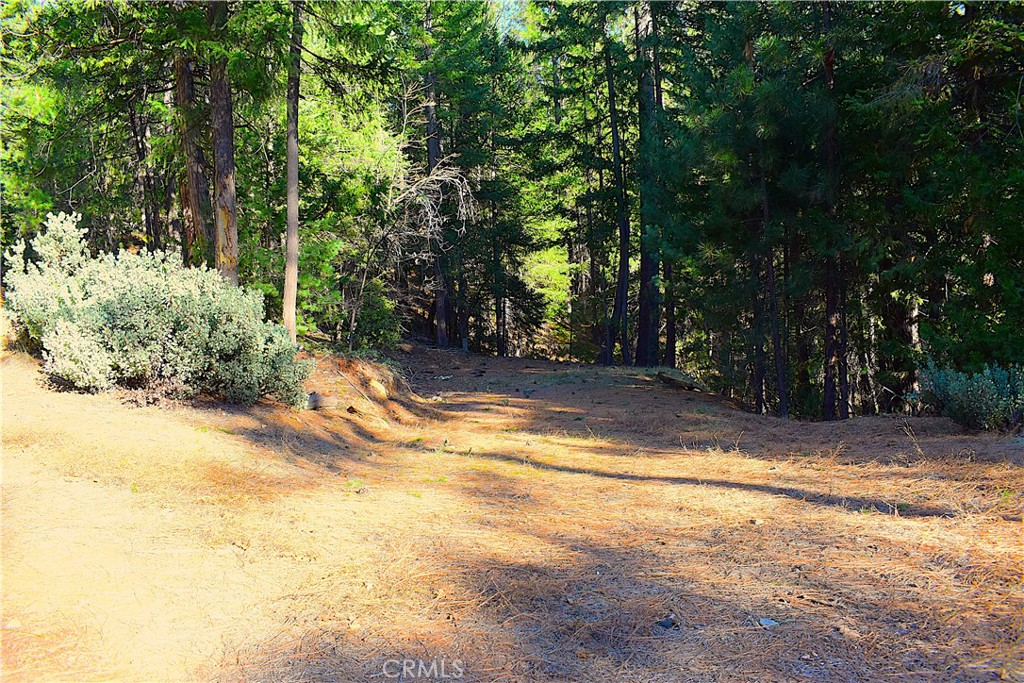 18286 Gaston Road Nevada City, CA 95959 - Photo 33 of 59