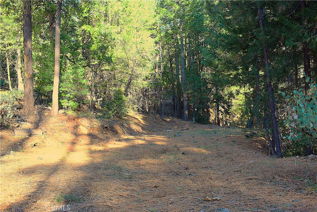 18286 Gaston Road Nevada City, CA 95959 - Photo 34 of 59