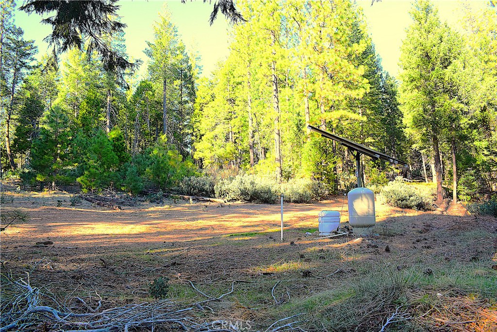 18286 Gaston Road Nevada City, CA 95959 - Photo 36 of 59