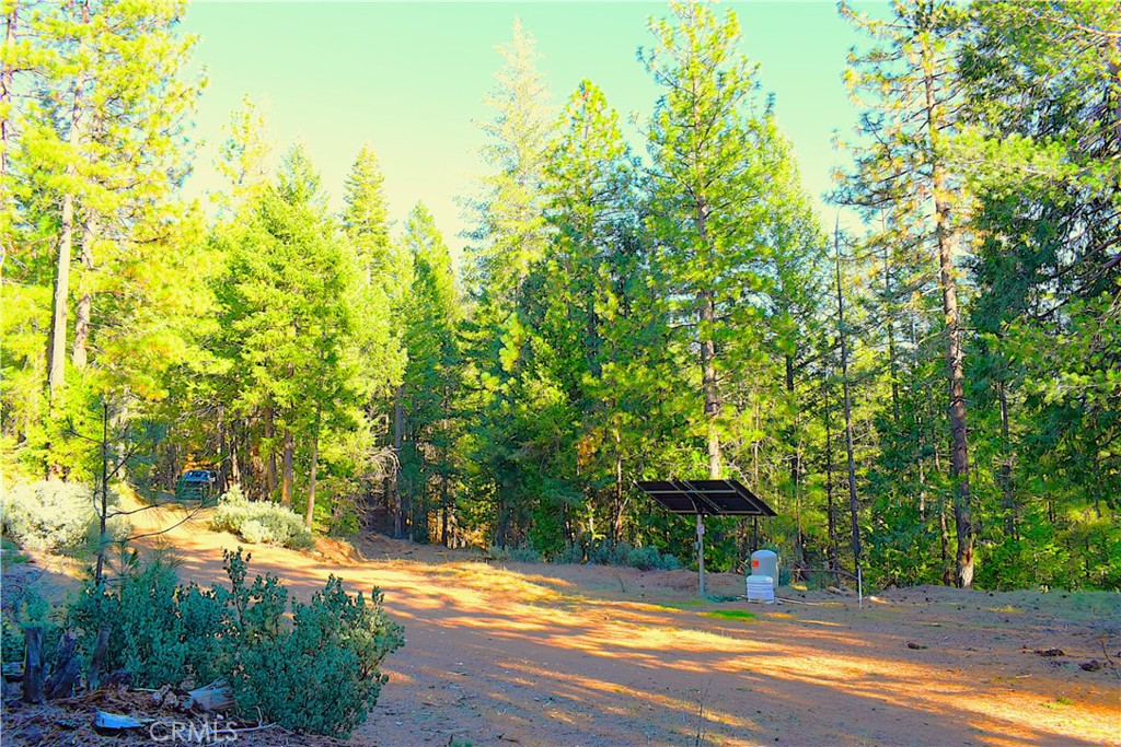 18286 Gaston Road Nevada City, CA 95959 - Photo 38 of 59