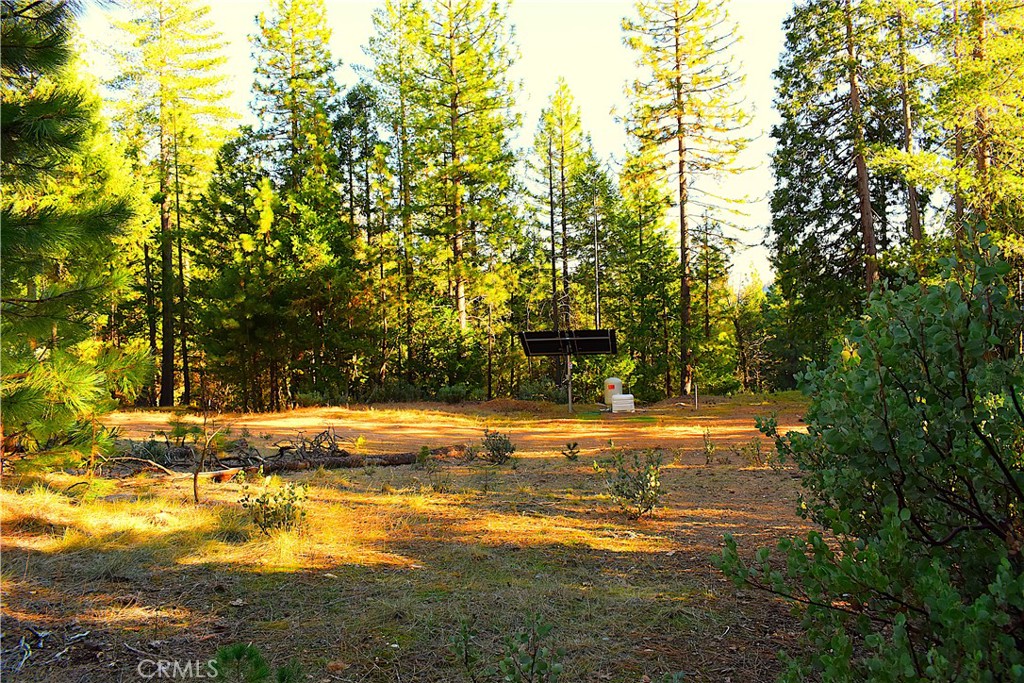 18286 Gaston Road Nevada City, CA 95959 - Photo 39 of 59