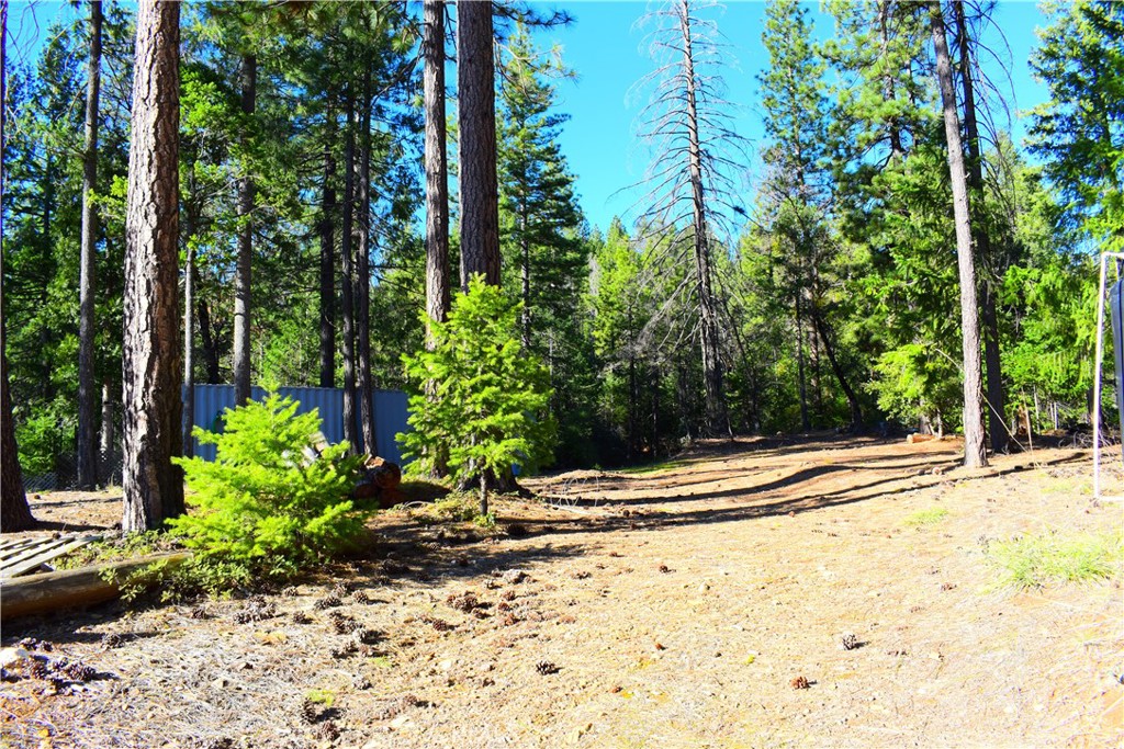 18286 Gaston Road Nevada City, CA 95959 - Photo 4 of 59