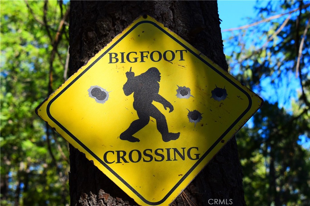 18286 Gaston Road Nevada City, CA 95959 - Photo 42 of 59