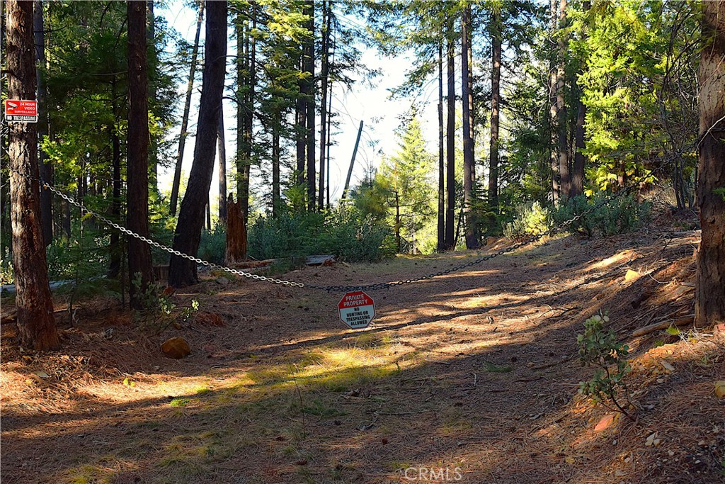 18286 Gaston Road Nevada City, CA 95959 - Photo 45 of 59