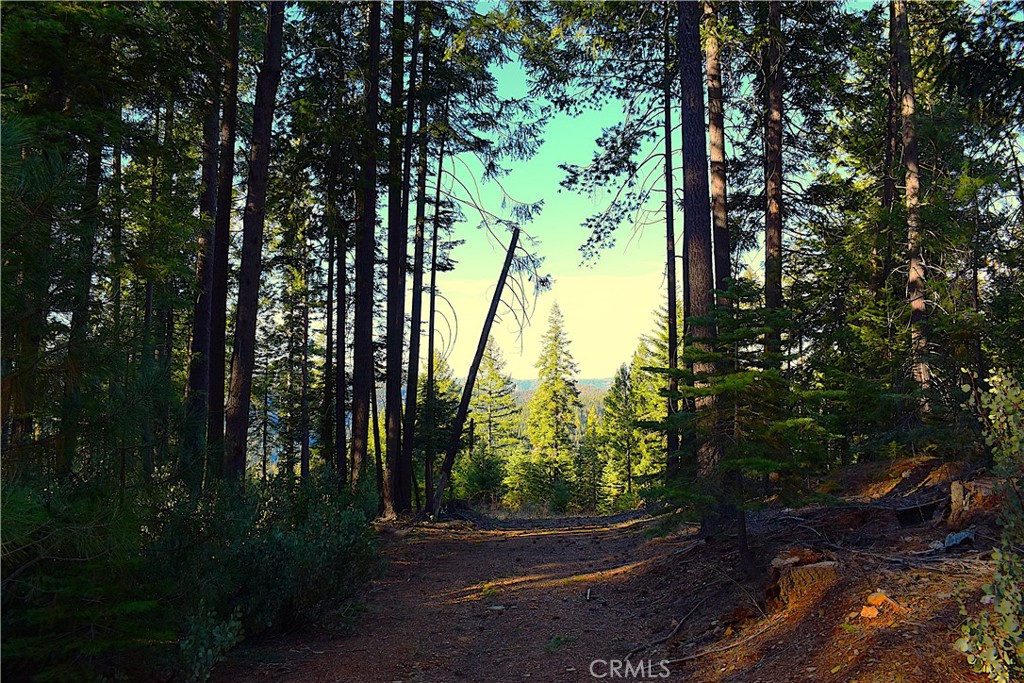 18286 Gaston Road Nevada City, CA 95959 - Photo 46 of 59