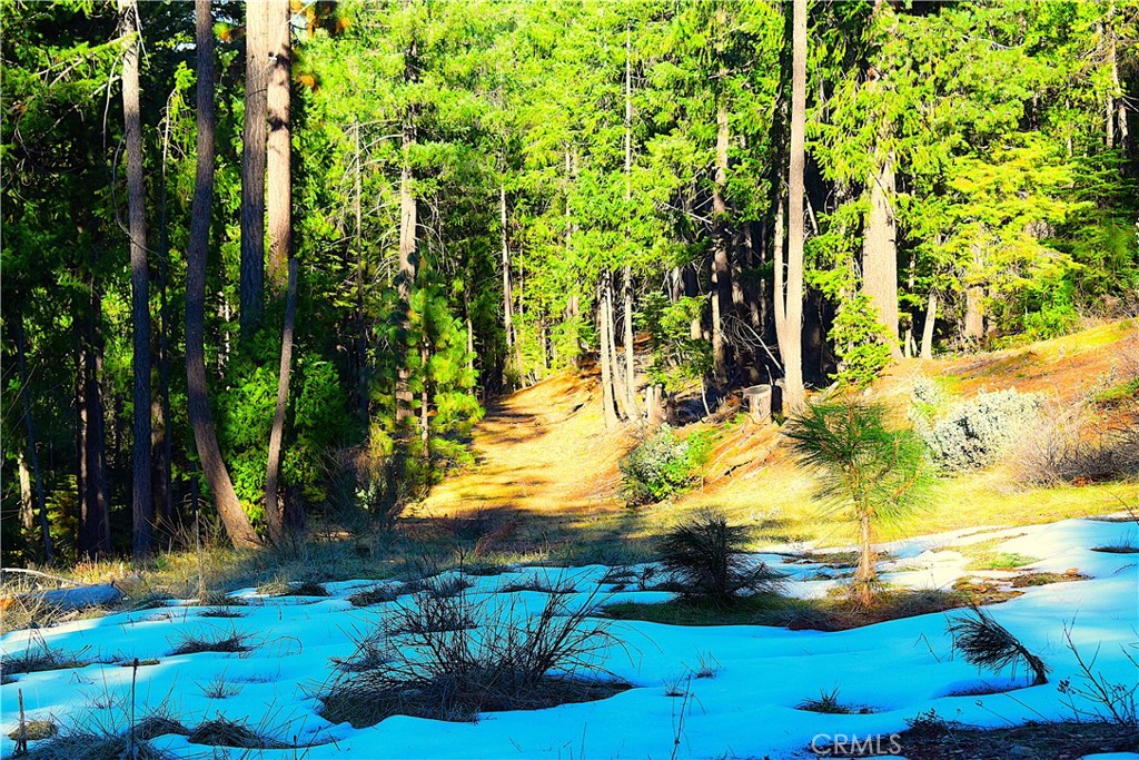 18286 Gaston Road Nevada City, CA 95959 - Photo 50 of 59