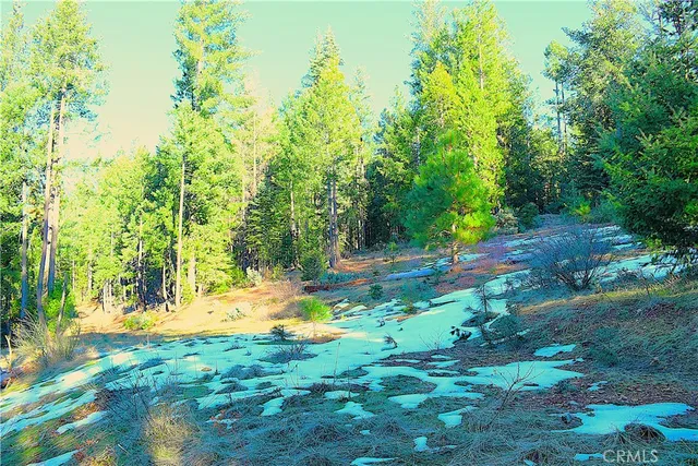 $184,555 | 18286 Gaston Road, Nevada City, CA 95959