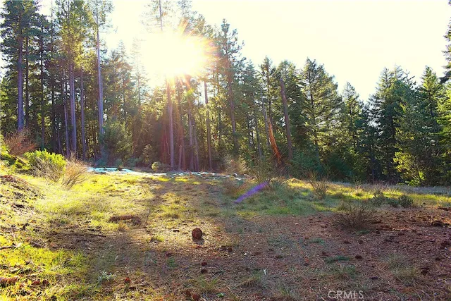 $184,555 | 18286 Gaston Road, Nevada City, CA 95959