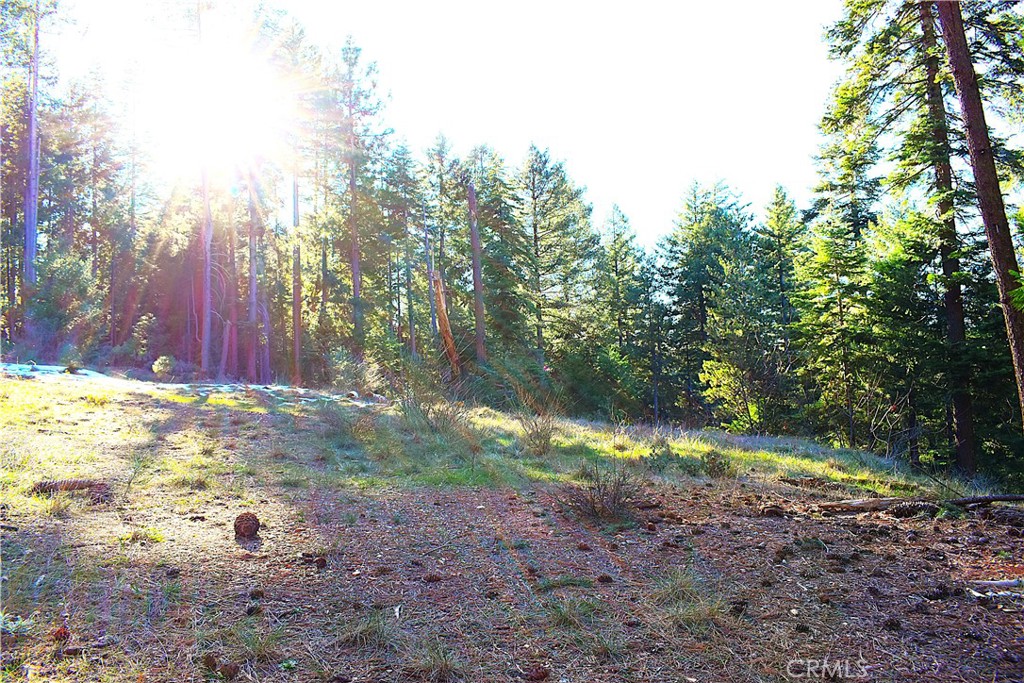 18286 Gaston Road Nevada City, CA 95959 - Photo 54 of 59