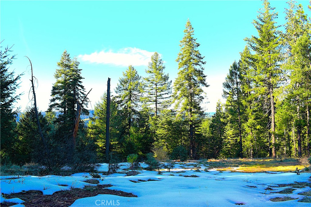 18286 Gaston Road Nevada City, CA 95959 - Photo 56 of 59