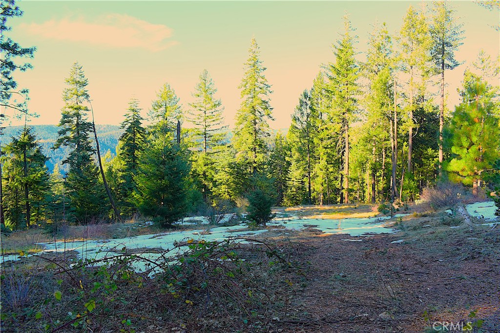 18286 Gaston Road Nevada City, CA 95959 - Photo 57 of 59