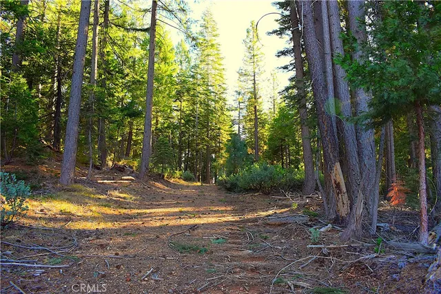 $184,555 | 18286 Gaston Road, Nevada City, CA 95959