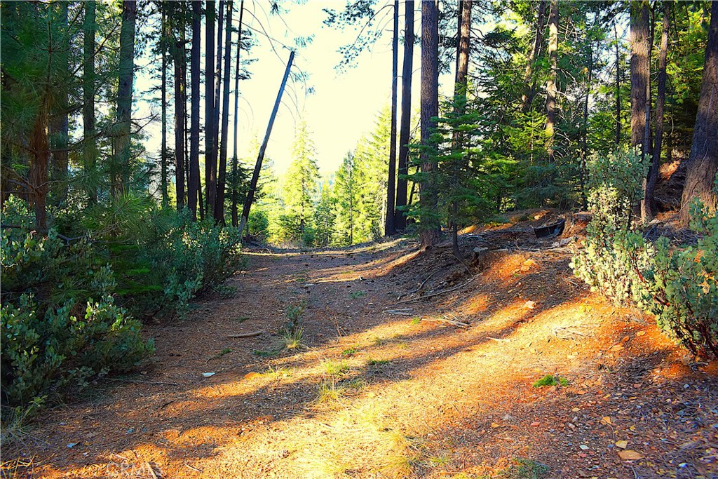 18286 Gaston Road Nevada City, CA 95959 - Photo 59 of 59