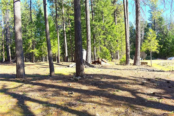 a view of swimming pool with large trees