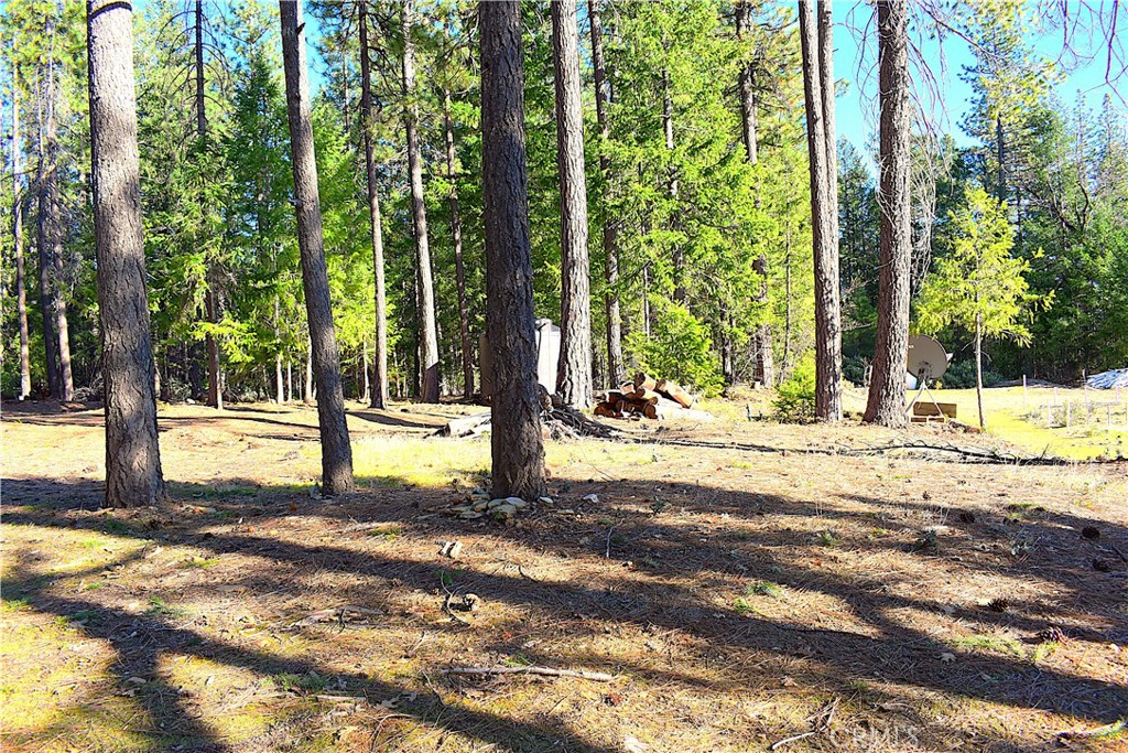 18286 Gaston Road Nevada City, CA 95959 - Photo 10 of 59