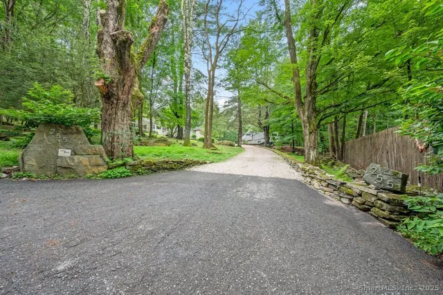 a view of a road with plants and large trees