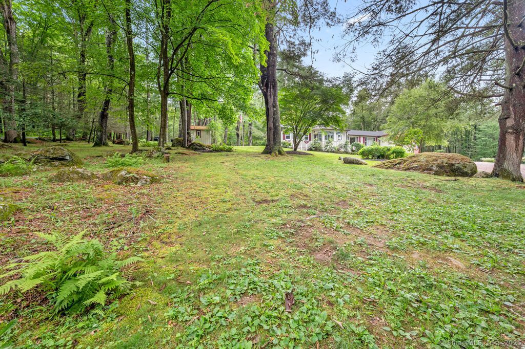 255 Dibble Hill Road Cornwall, CT 06796 - Photo 34 of 40 a view of backyard with outdoor space