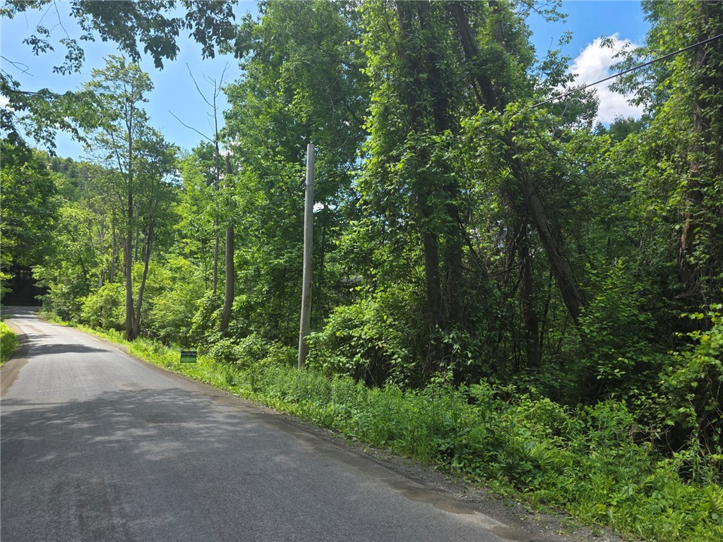 Road view