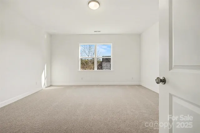 a view of empty space with trees