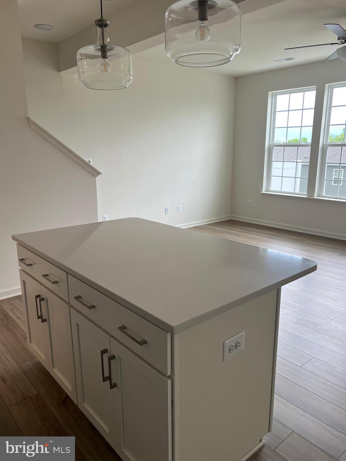 115 Clifton Manor Falling Waters, WV 25419 - Photo 26 of 29 a view of cabinets and wooden floor