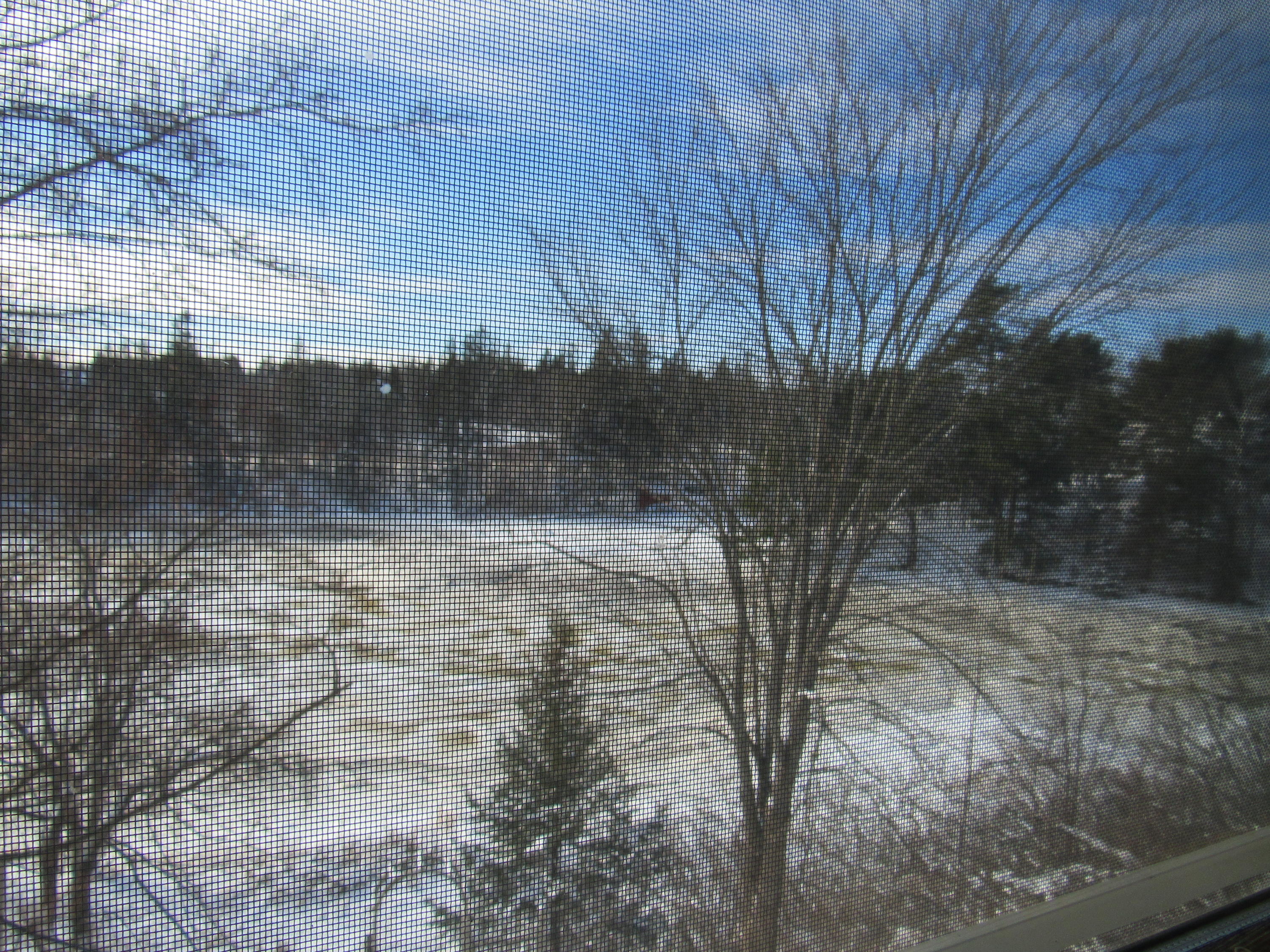 123 Old County Road Pembroke, ME 04666 - Photo 35 of 69 35
