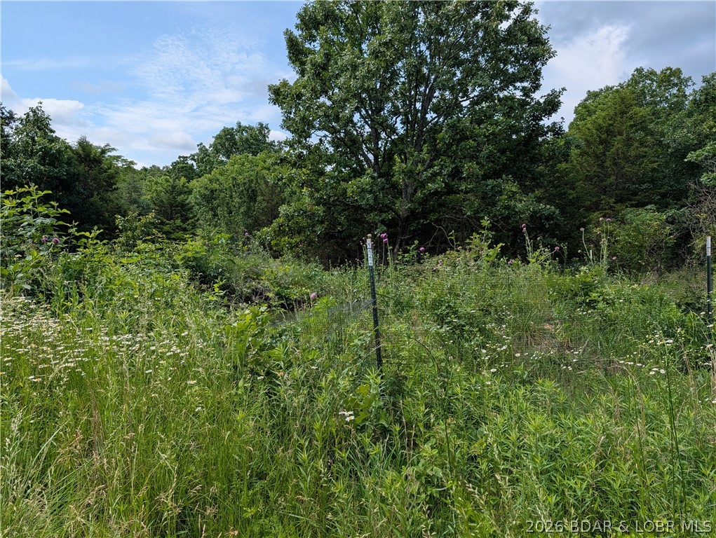 199 Spring Road Montreal, MO 65591 - Photo 31 of 57