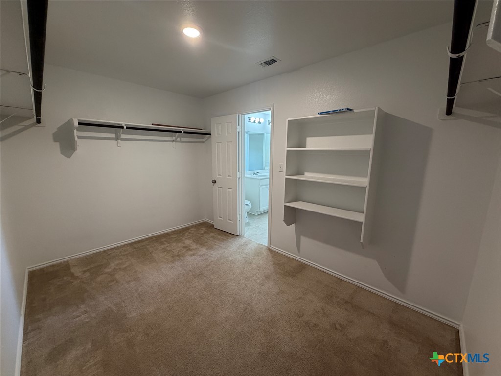 620 English Oak Street Georgetown, TX 78626 - Photo 20 of 29 a view of an empty walk in closet