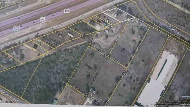 a view of a forest with trees in the background