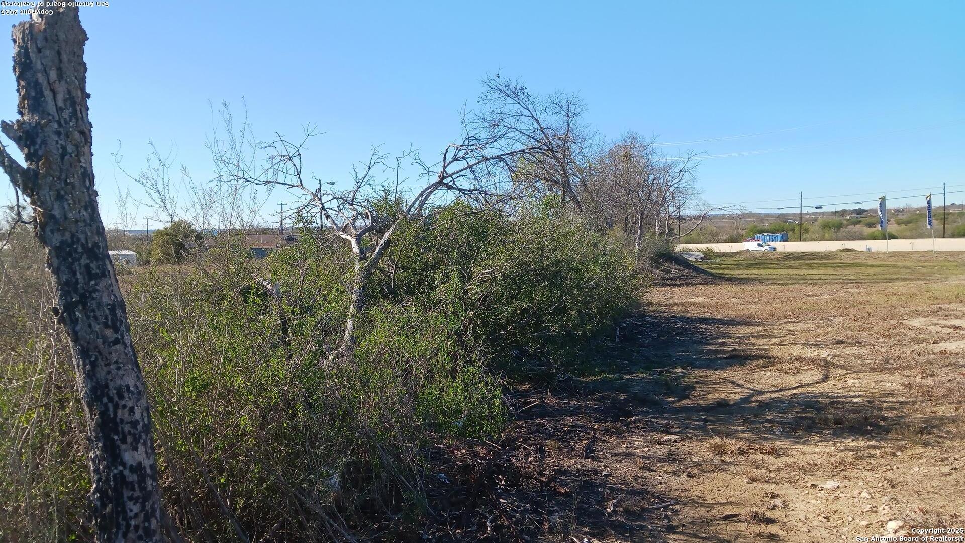 12220 Interstate 10 Converse, TX 78109 - Photo 6 of 8 a view of an ocean with a large tree