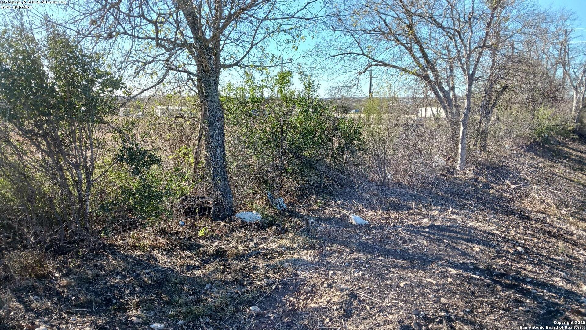 12220 Interstate 10 Converse, TX 78109 - Photo 8 of 8 a backyard of a house with lots of green space