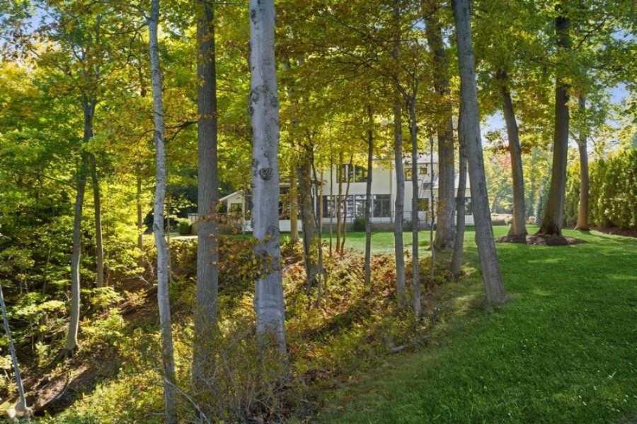 14874 Lakeshore Road Lakeside, MI 49116 - Photo 57 of 71 Rear View