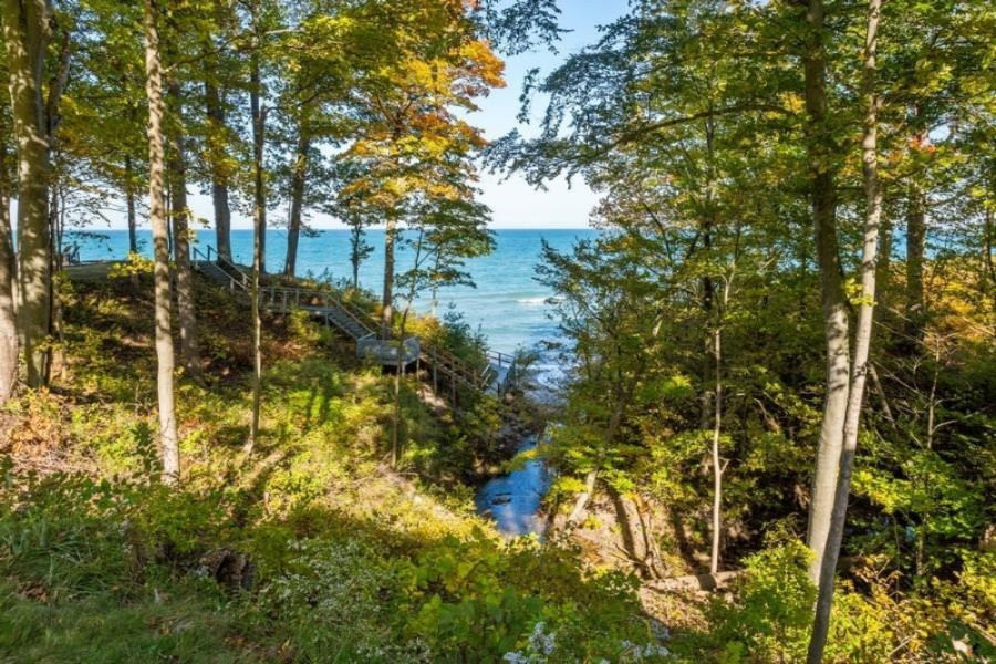 14874 Lakeshore Road Lakeside, MI 49116 - Photo 60 of 71 Back Yard