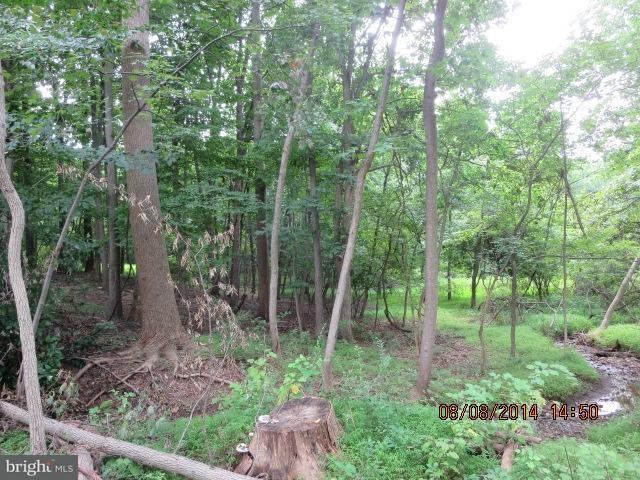 0 Mine Road, Unit 232 Lebanon, PA 17042 - Photo 2 of 8 Gallery Image 2