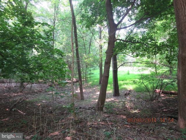 0 Mine Road, Unit 232 Lebanon, PA 17042 - Photo 6 of 8 Gallery Image 6