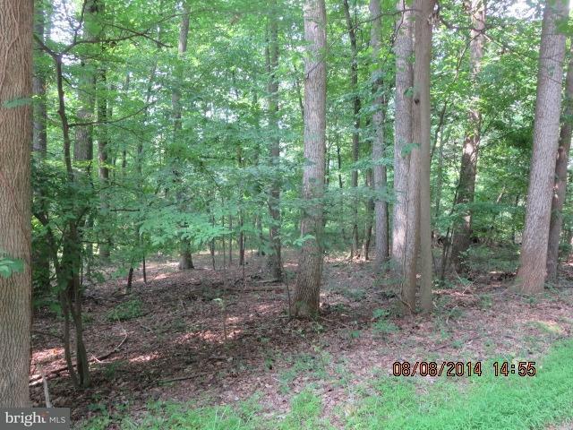 0 Mine Road, Unit 232 Lebanon, PA 17042 - Photo 7 of 8 Gallery Image 7