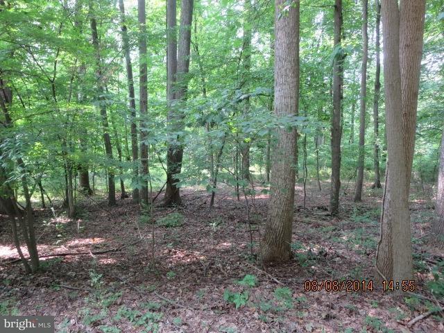 0 Mine Road, Unit 232 Lebanon, PA 17042 - Photo 8 of 8 Gallery Image 8