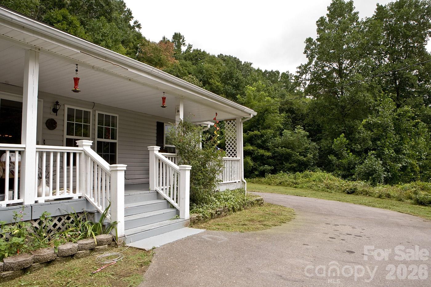165 Peepeye Cove Road Leicester, NC 28748 - Photo 3 of 24