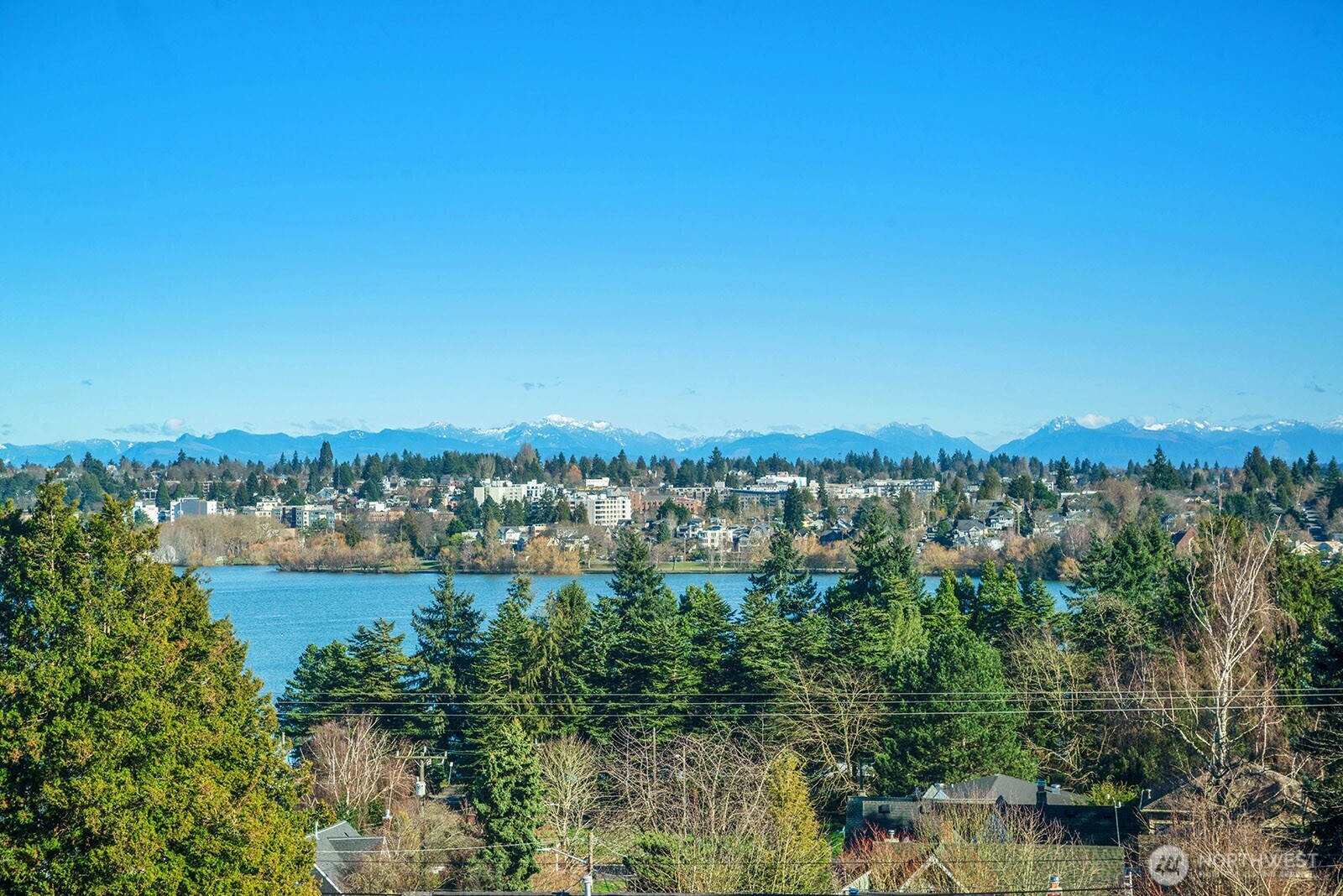 6312 Evanston Avenue North Seattle, WA 98103 - Photo 6 of 40