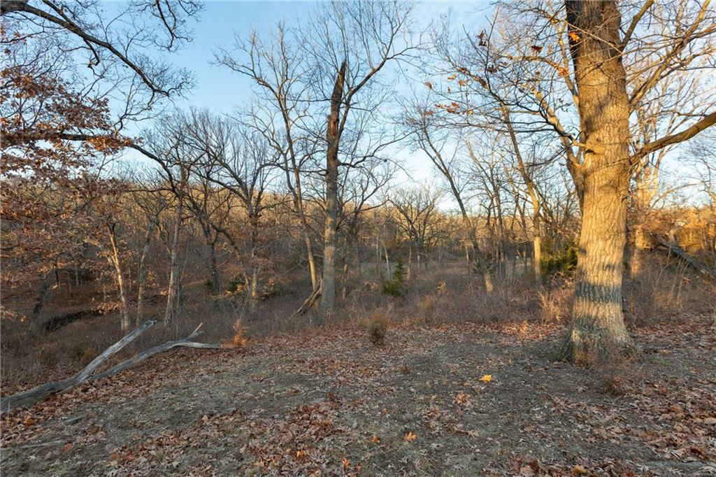 38502 East Parrent Road Oak Grove, MO 64075 - Photo 14 of 33