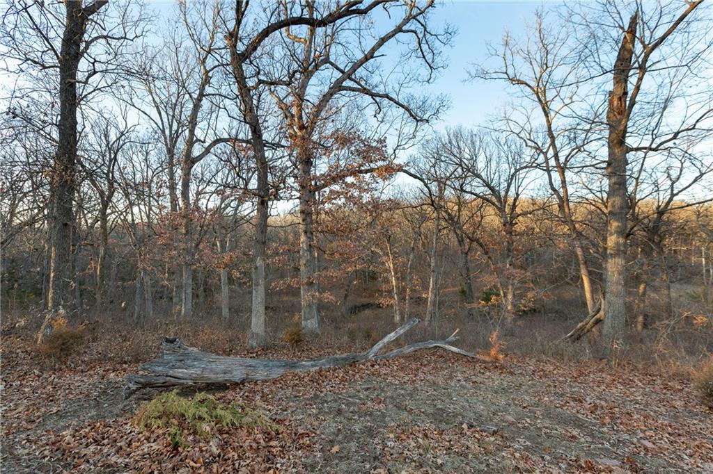 38502 East Parrent Road Oak Grove, MO 64075 - Photo 15 of 33