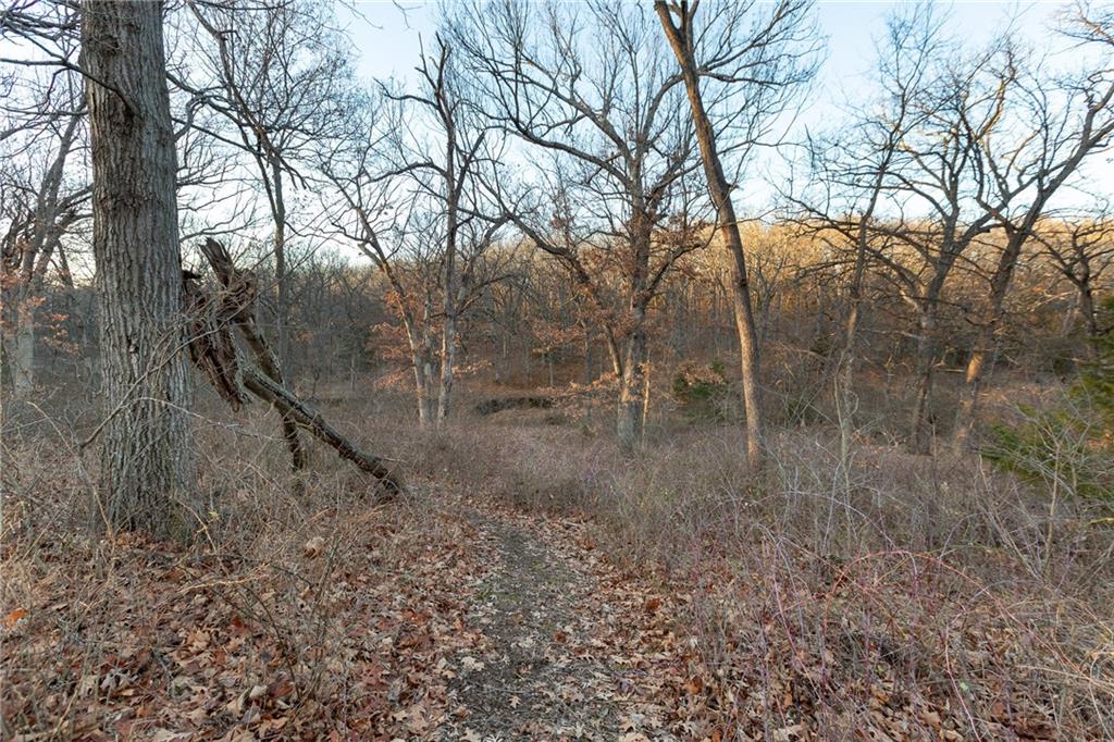 38502 East Parrent Road Oak Grove, MO 64075 - Photo 17 of 33