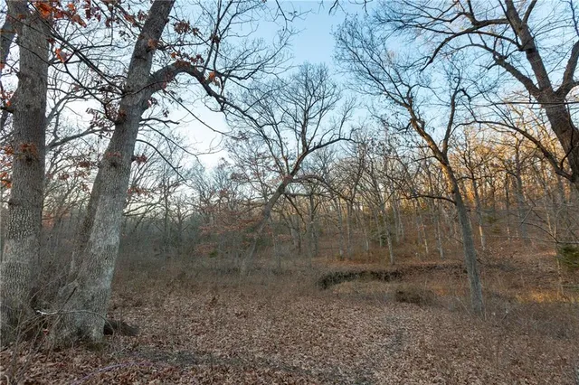 $175,000 | 38502 East Parrent Road, Oak Grove, MO 64075