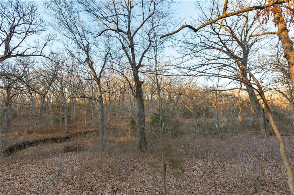 38502 East Parrent Road Oak Grove, MO 64075 - Photo 19 of 33