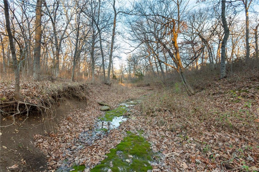 38502 East Parrent Road Oak Grove, MO 64075 - Photo 22 of 33