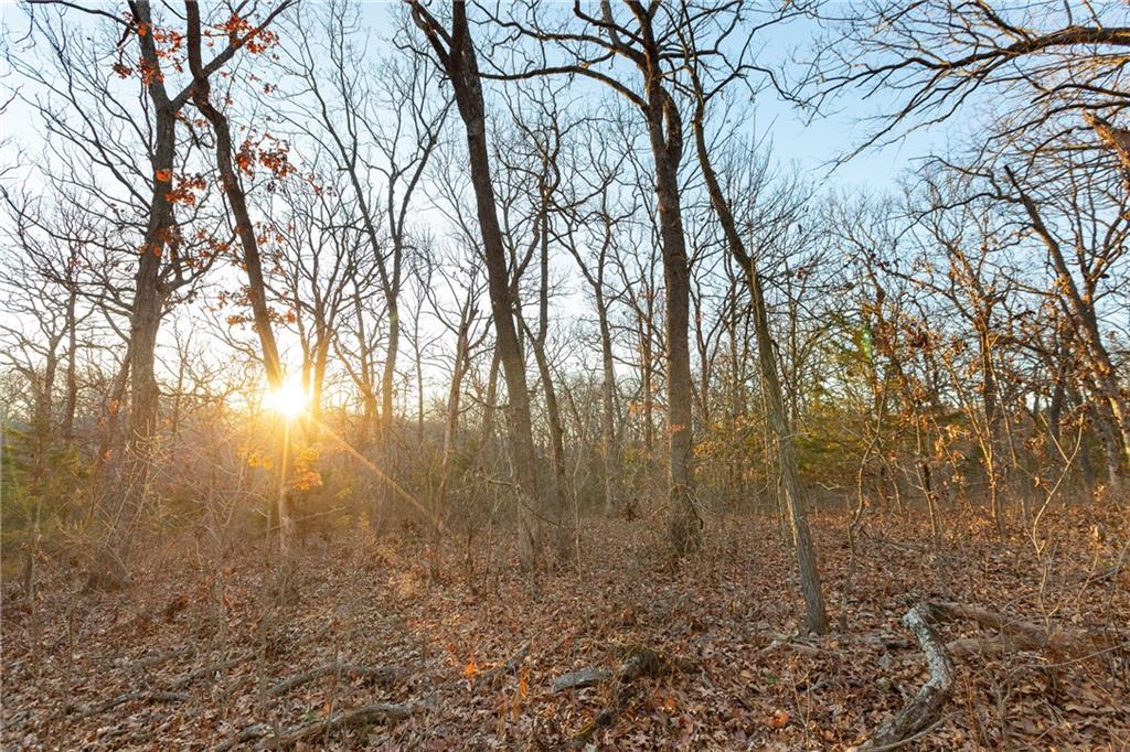 38502 East Parrent Road Oak Grove, MO 64075 - Photo 25 of 33