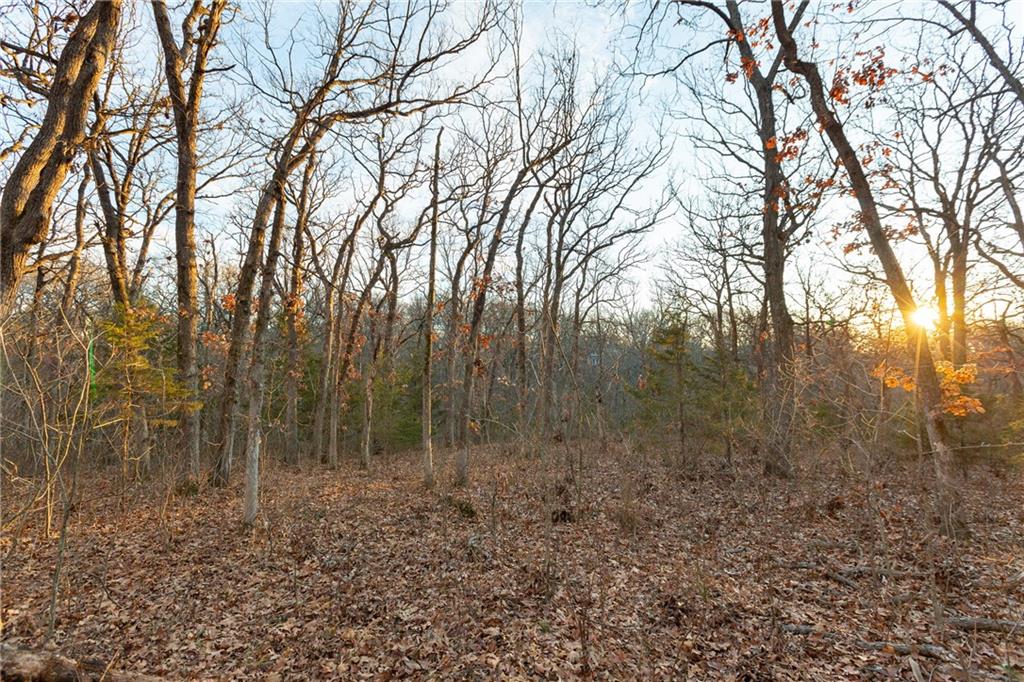 38502 East Parrent Road Oak Grove, MO 64075 - Photo 26 of 33