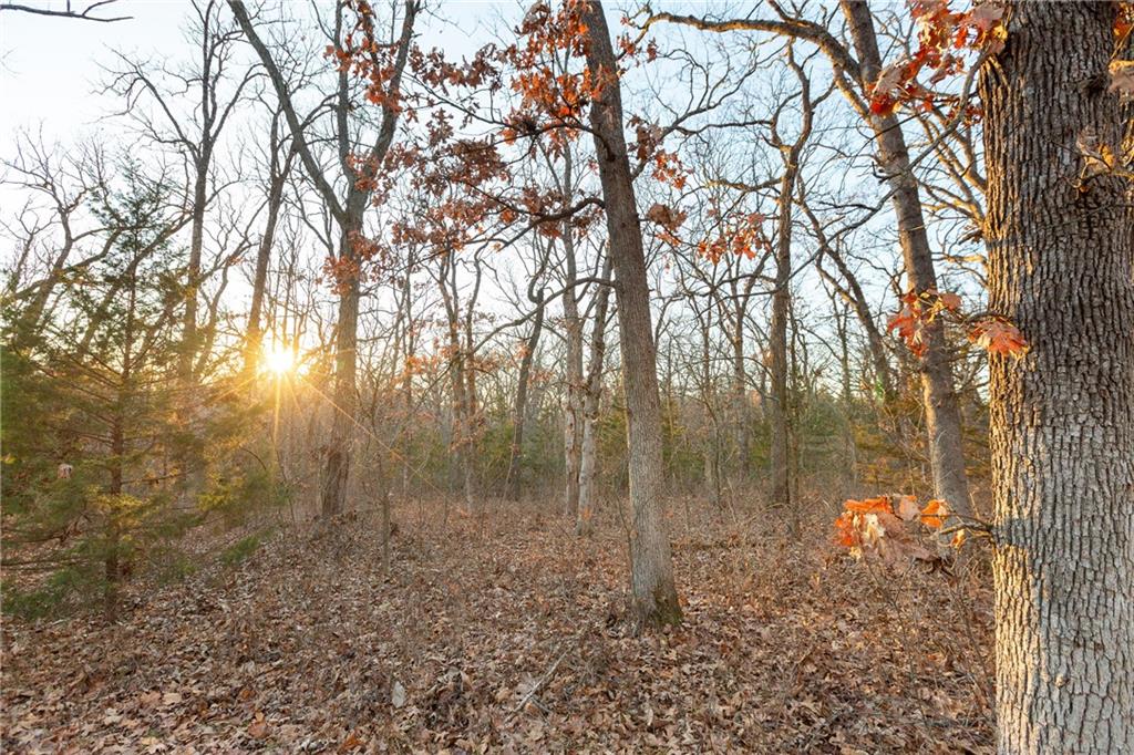 38502 East Parrent Road Oak Grove, MO 64075 - Photo 29 of 33
